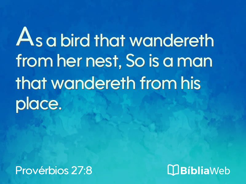 Provérbios 27:8 em imagem para compartilhar
