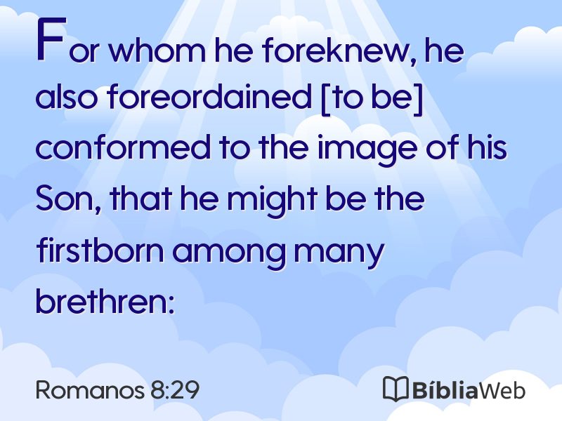 Romanos 8:29 em imagem para compartilhar