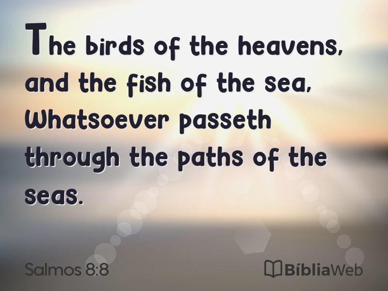 Salmos 8:8 em imagem para compartilhar