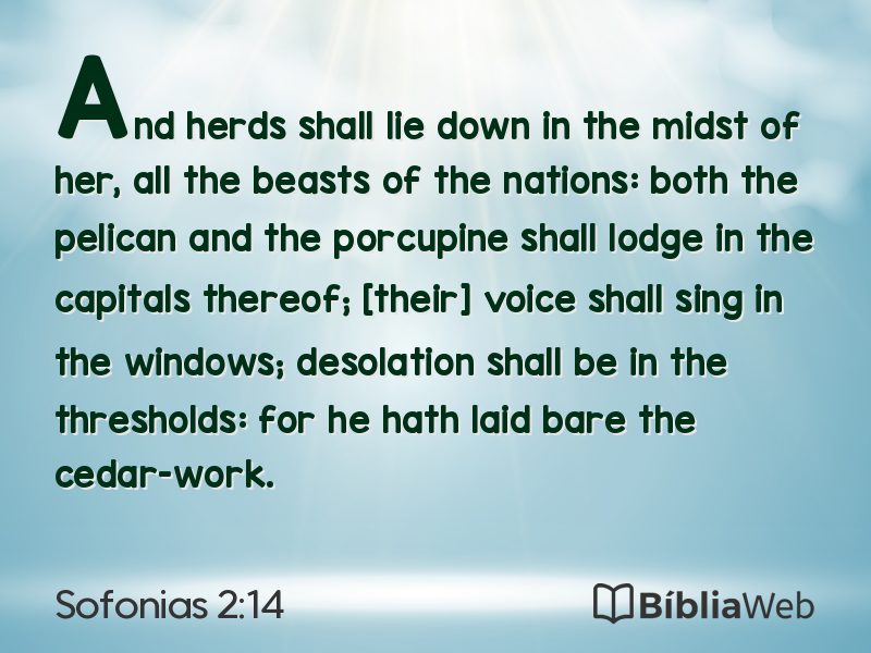 Sofonias 2:14 em imagem para compartilhar