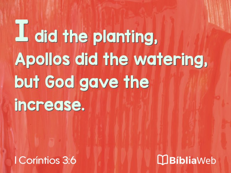 I Coríntios 3:6 em imagem para compartilhar
