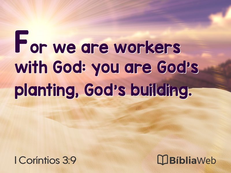 I Coríntios 3:9 em imagem para compartilhar