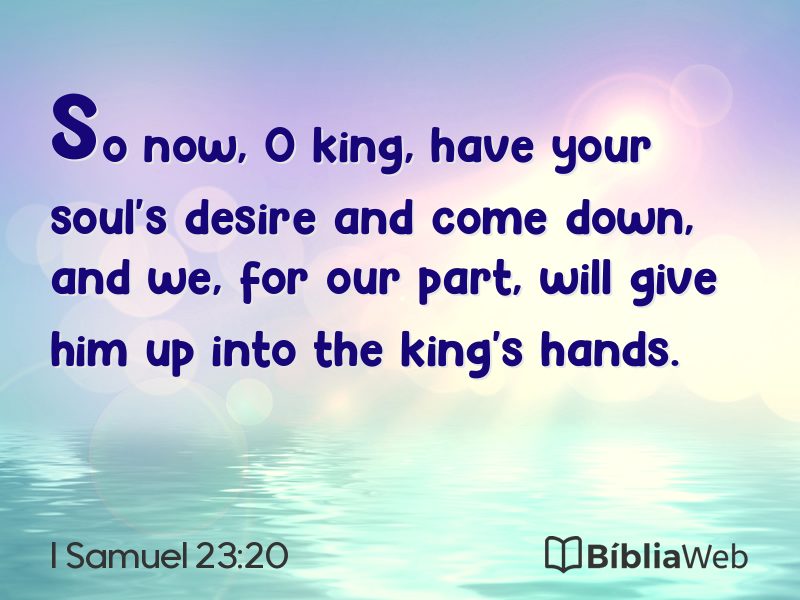 I Samuel 23:20 em imagem para compartilhar