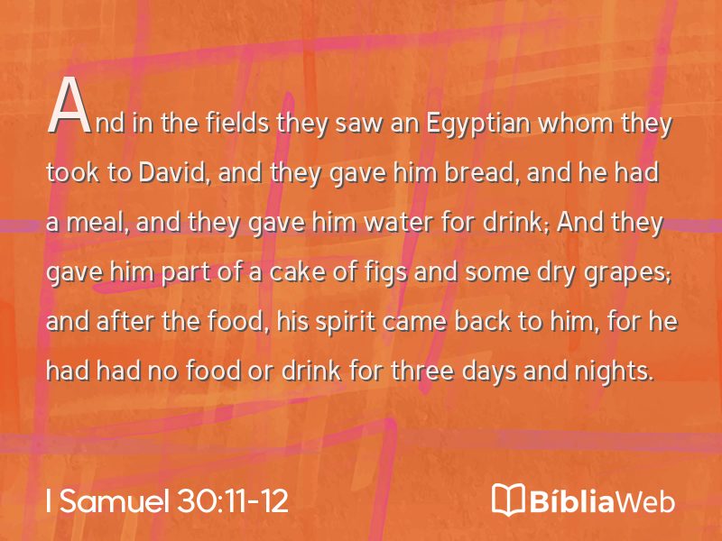 I Samuel 30:11-12 em imagem para compartilhar