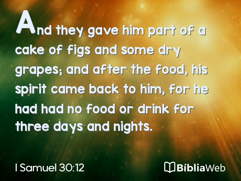 I Samuel 30:12 em imagem para compartilhar
