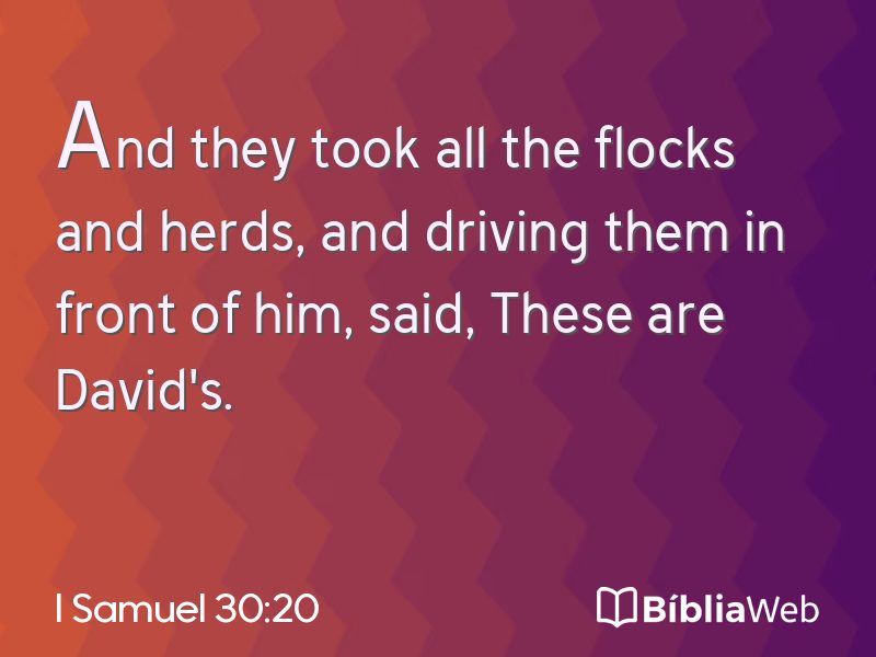 I Samuel 30:20 em imagem para compartilhar