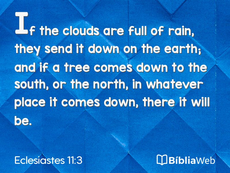 Eclesiastes 11:3 em imagem para compartilhar