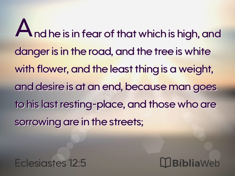 Eclesiastes 12:5 em imagem para compartilhar