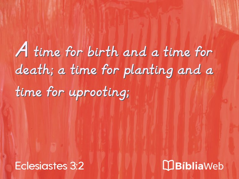 Eclesiastes 3:2 em imagem para compartilhar