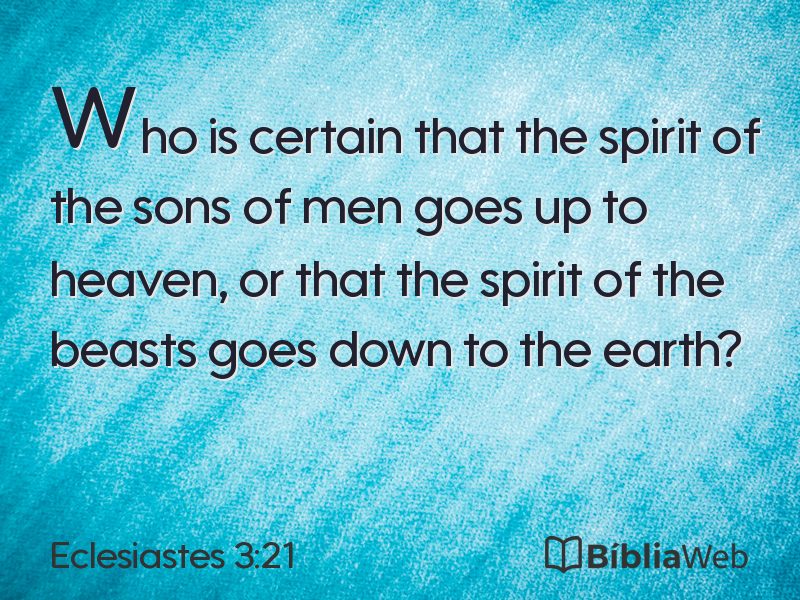 Eclesiastes 3:21 em imagem para compartilhar