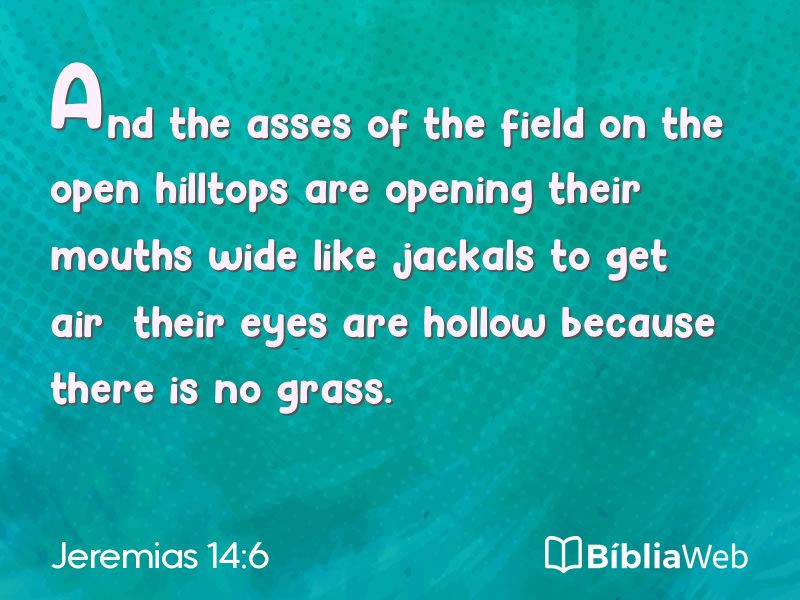 Jeremias 14:6 em imagem para compartilhar