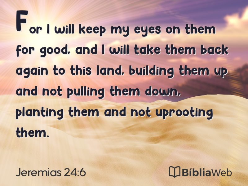 Jeremias 24:6 em imagem para compartilhar