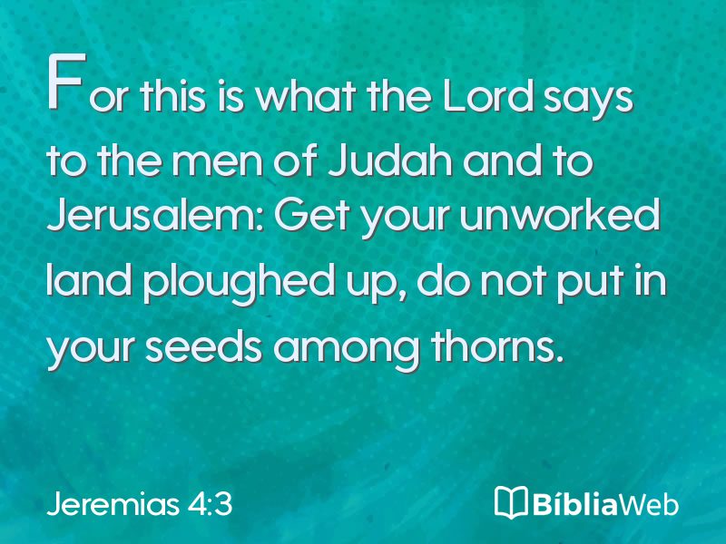 Jeremias 4:3 em imagem para compartilhar