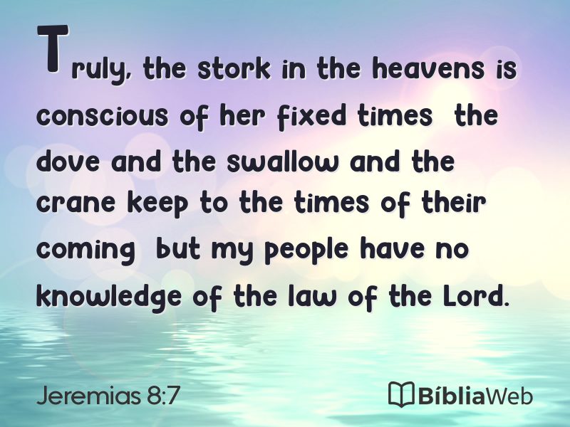 Jeremias 8:7 em imagem para compartilhar