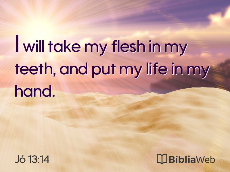 Jó 13:14 em imagem para compartilhar