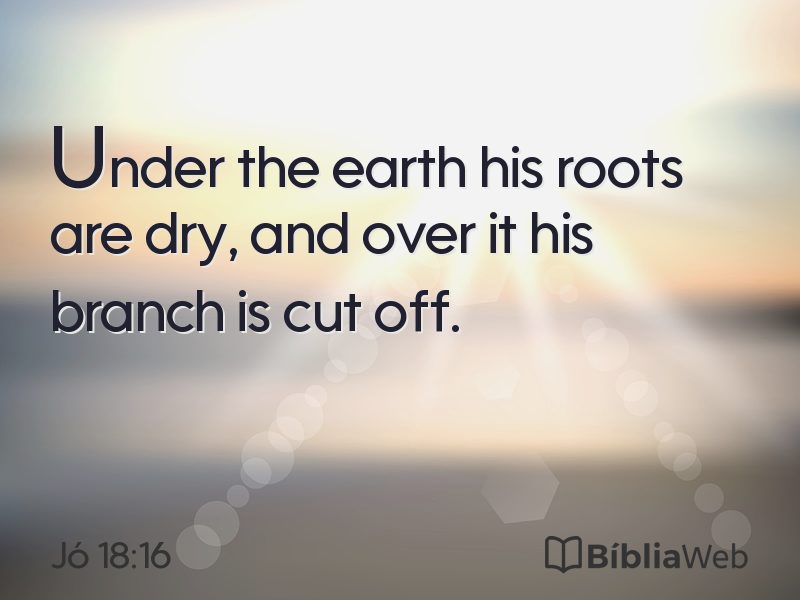 Jó 18:16 em imagem para compartilhar