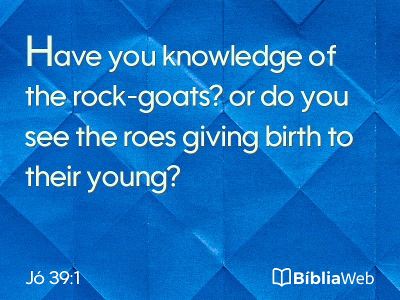 Jó 39:1 em imagem para compartilhar