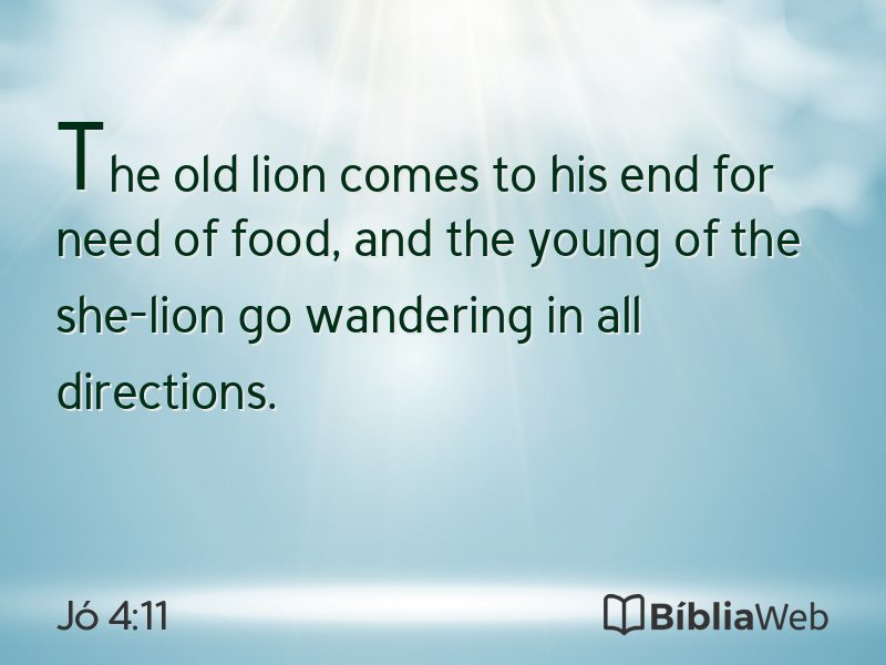 Jó 4:11 em imagem para compartilhar