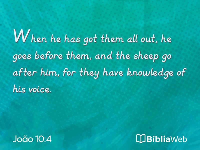 João 10:4 em imagem para compartilhar