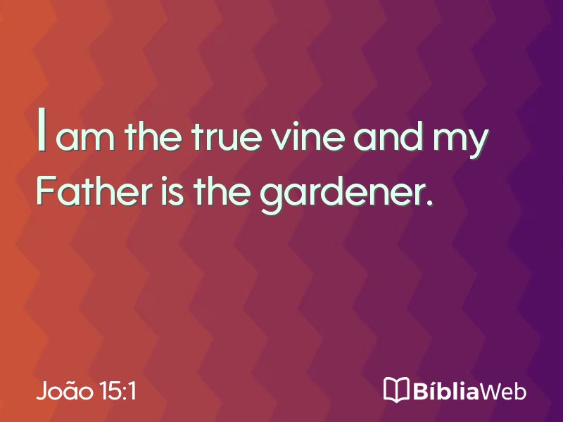 João 15:1 em imagem para compartilhar