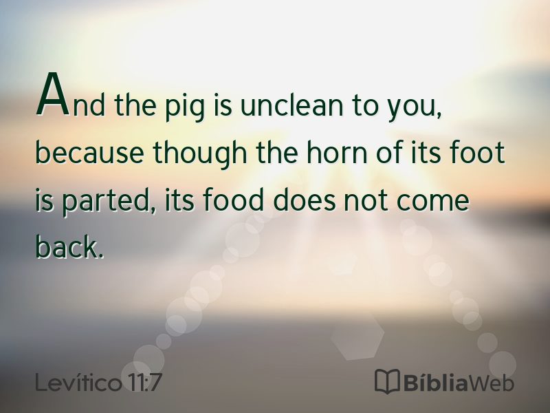 Levítico 11:7 em imagem para compartilhar