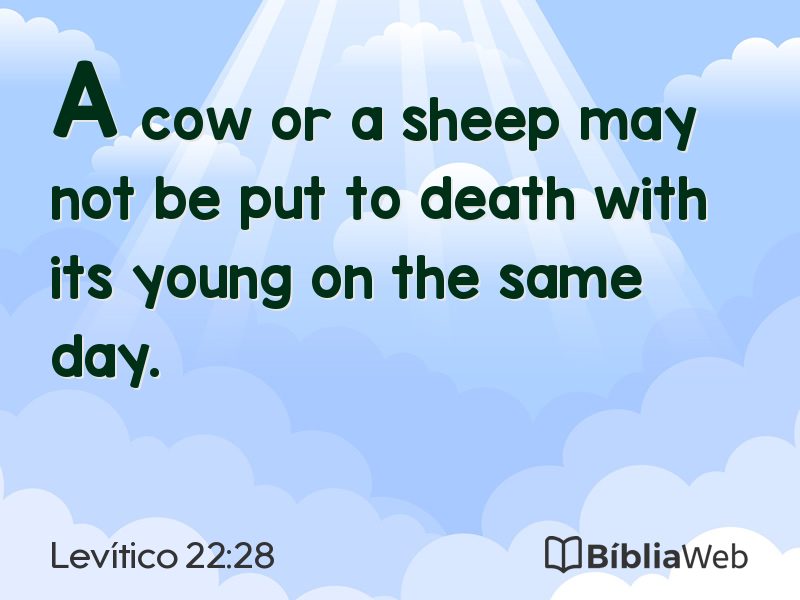 Levítico 22:28 em imagem para compartilhar