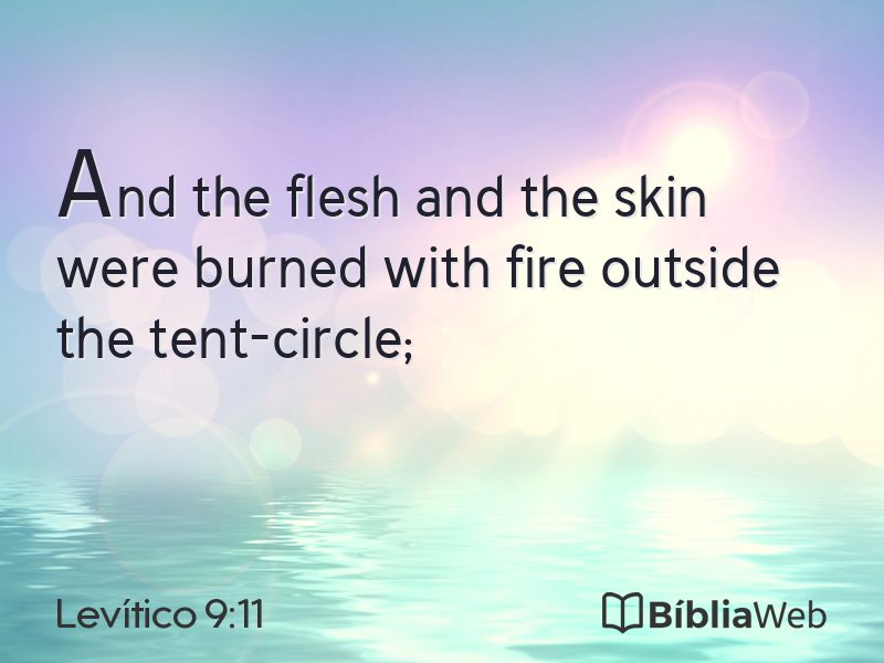 Levítico 9:11 em imagem para compartilhar