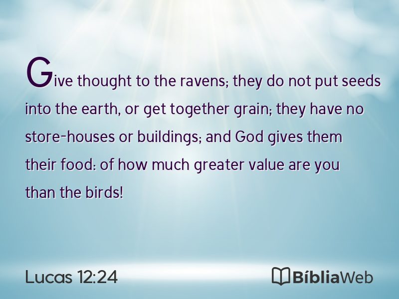 Lucas 12:24 em imagem para compartilhar