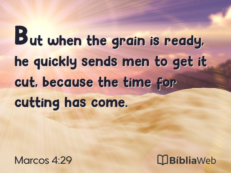 Marcos 4:29 em imagem para compartilhar