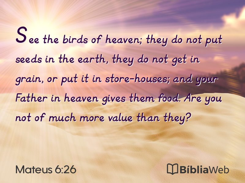 Mateus 6:26 em imagem para compartilhar