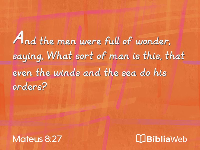 Mateus 8:27 em imagem para compartilhar