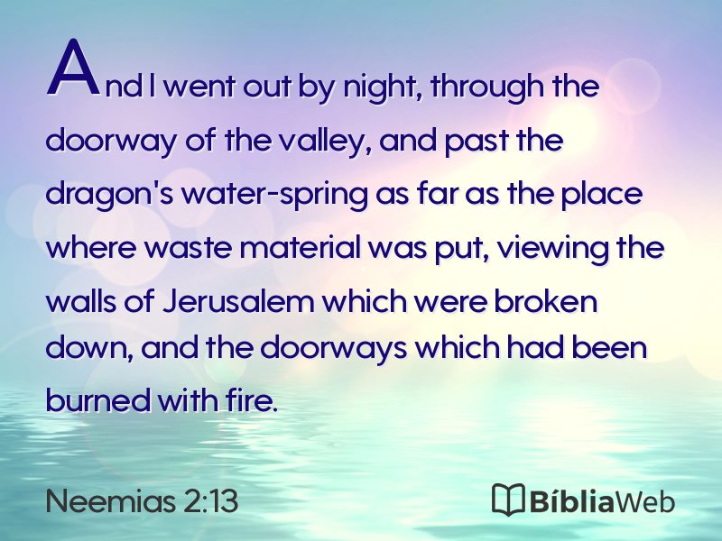 Neemias 2:13 em imagem para compartilhar