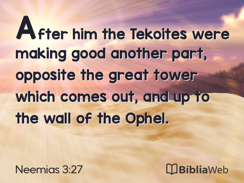 Neemias 3:27 em imagem para compartilhar