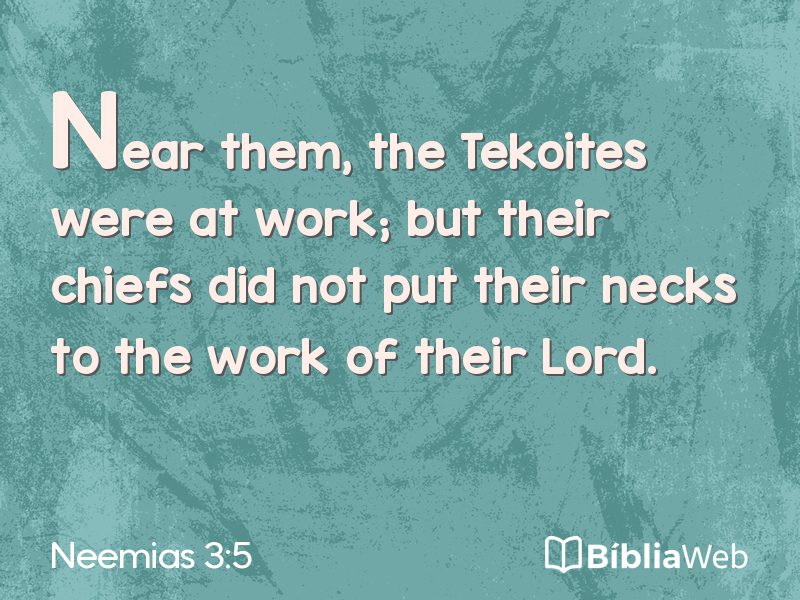 Neemias 3:5 em imagem para compartilhar