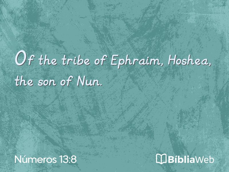 Números 13:8 em imagem para compartilhar