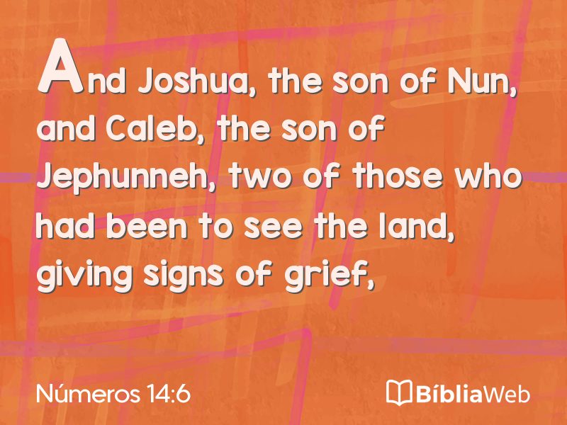 Números 14:6 em imagem para compartilhar