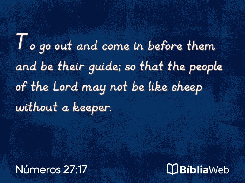 Números 27:17 em imagem para compartilhar