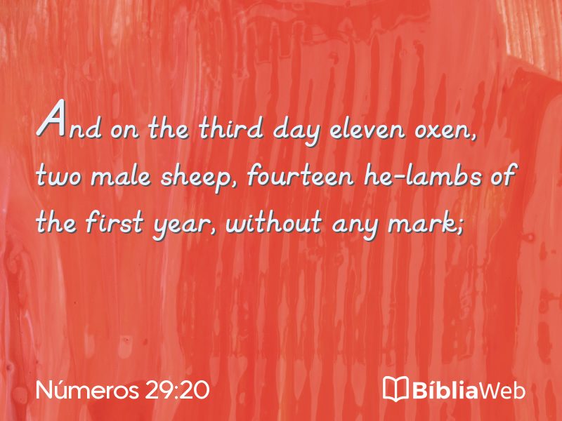 Números 29:20 em imagem para compartilhar