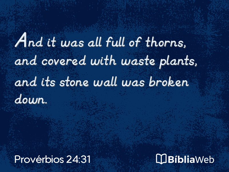 Provérbios 24:31 em imagem para compartilhar