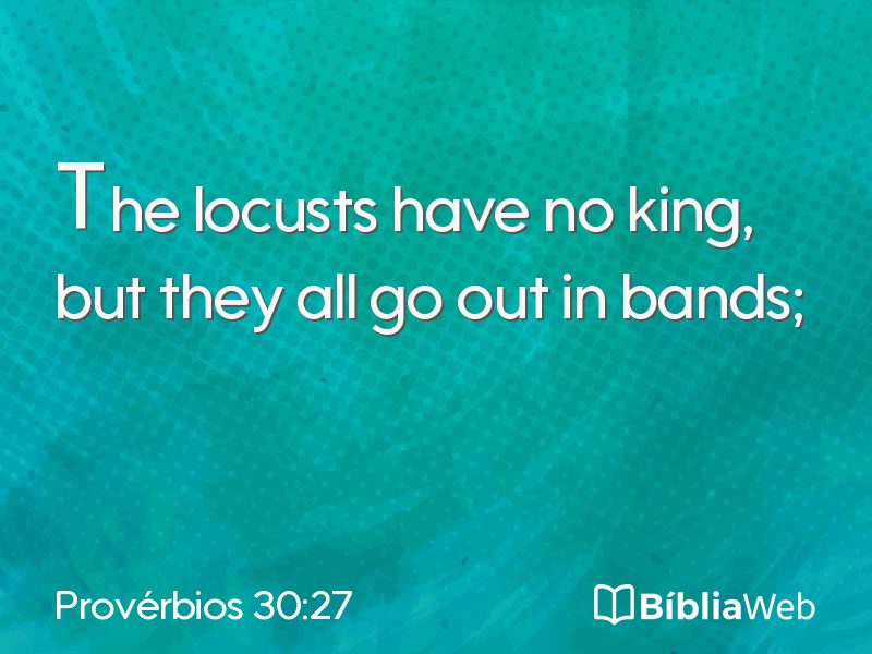 Provérbios 30:27 em imagem para compartilhar