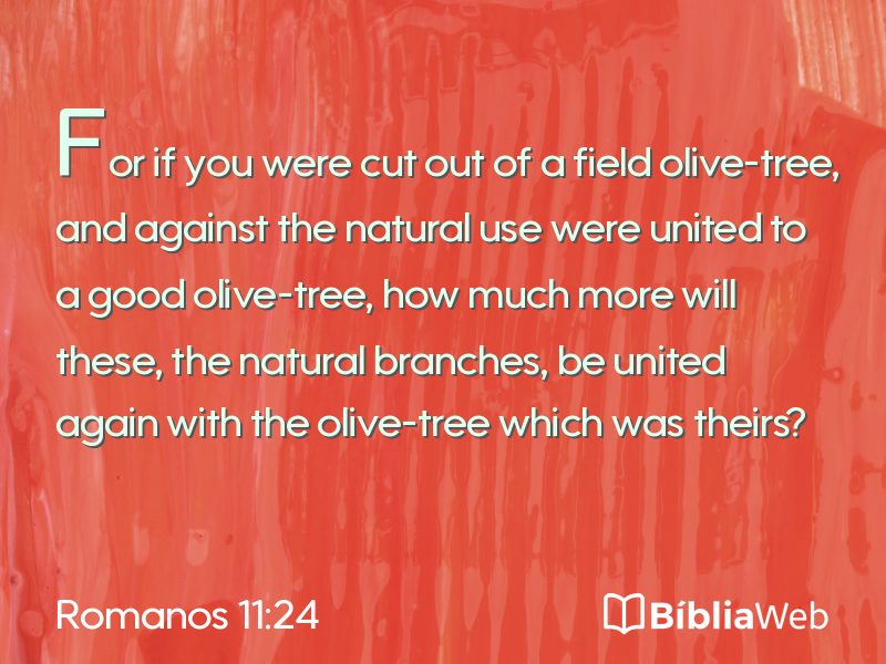 Romanos 11:24 em imagem para compartilhar