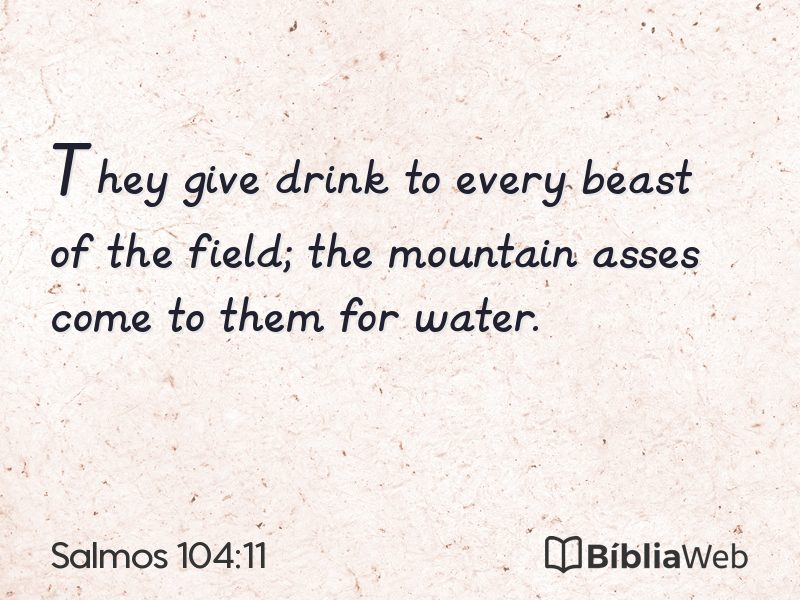 Salmos 104:11 em imagem para compartilhar