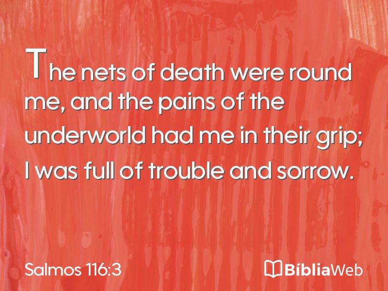 Salmos 116:3 em imagem para compartilhar