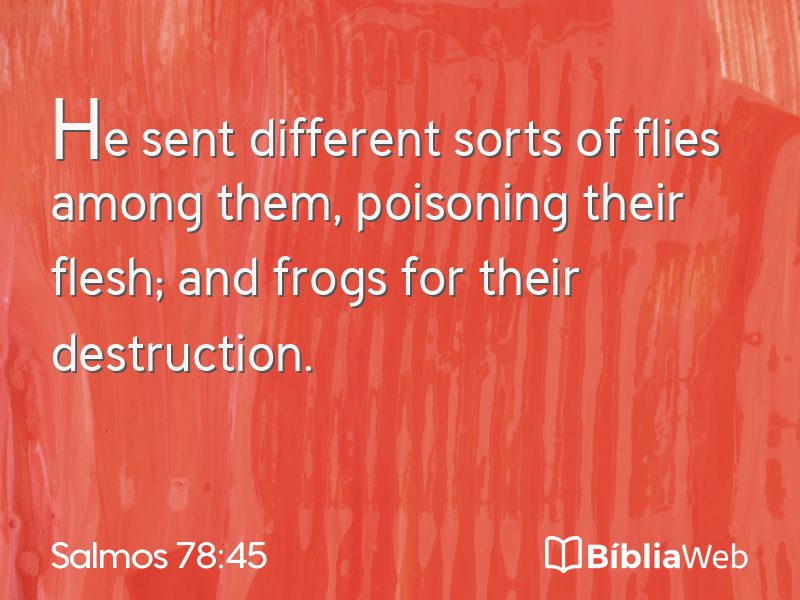 Salmos 78:45 em imagem para compartilhar