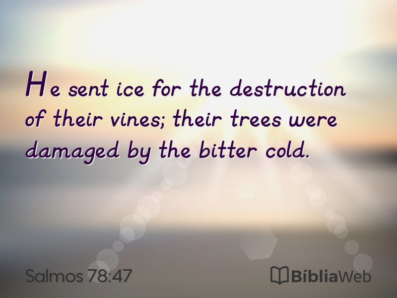 Salmos 78:47 em imagem para compartilhar