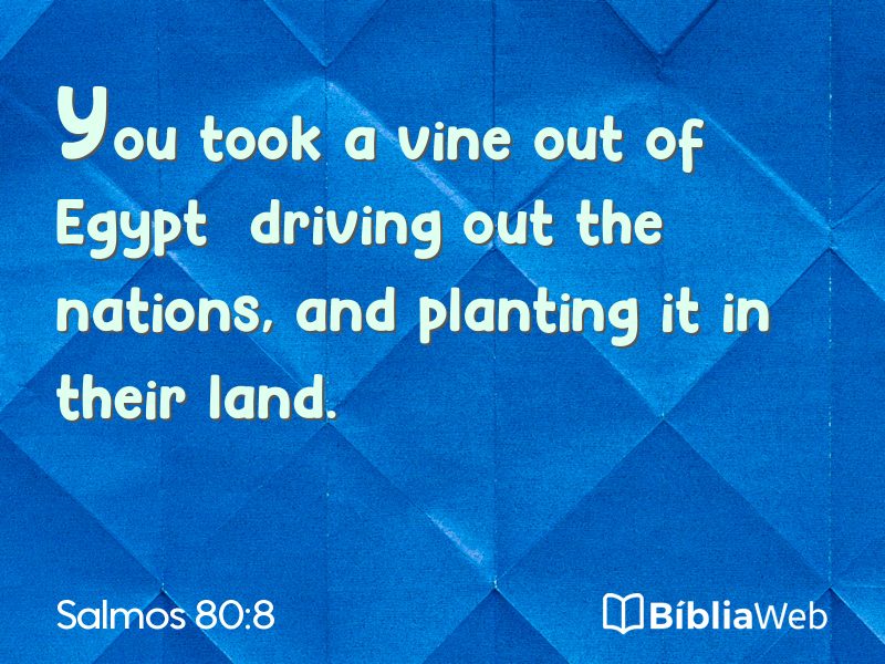 Salmos 80:8 em imagem para compartilhar