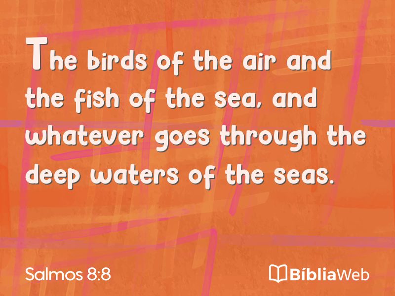 Salmos 8:8 em imagem para compartilhar