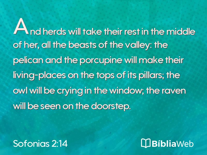 Sofonias 2:14 em imagem para compartilhar