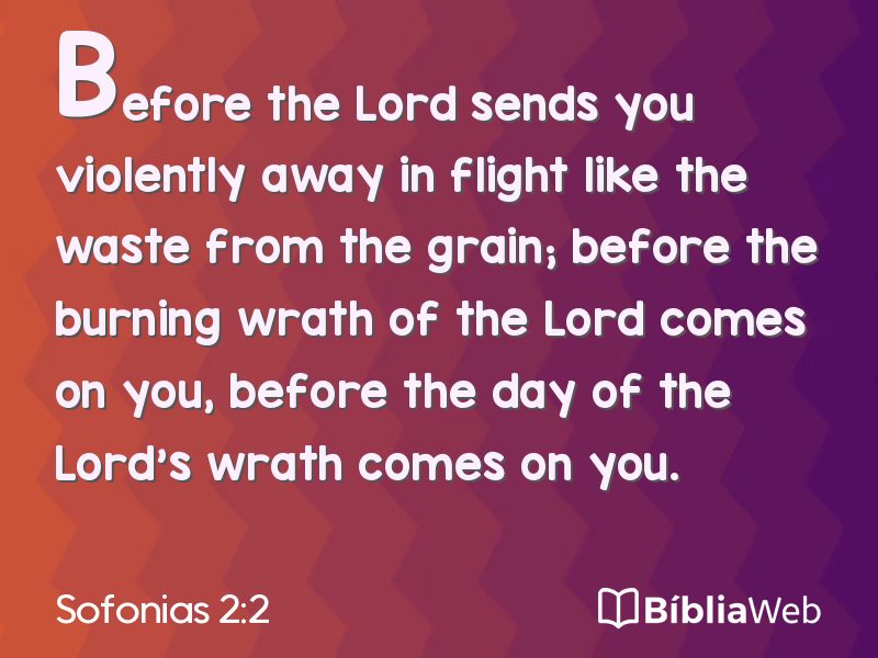 Sofonias 2:2 em imagem para compartilhar