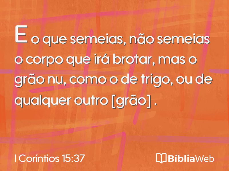 I Coríntios 15:37 em imagem para compartilhar